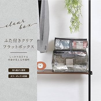 Amazon.co.jp: 武田コーポレーション ふた付きクリアフラット